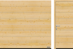 M-çizgili, Kuzey Çamı