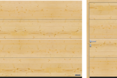 L-çizgili, Kuzey Çamı