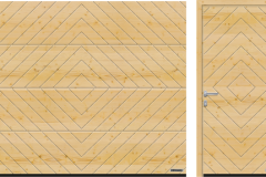 Model 402, Kuzey Çamı